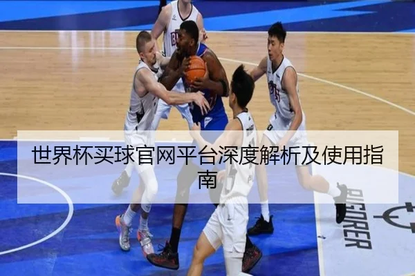 世界杯买球官网平台深度解析及使用指南