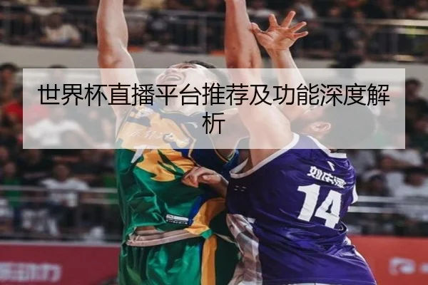 世界杯直播平台推荐及功能深度解析