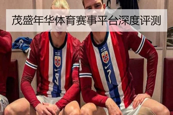 茂盛年华体育赛事平台深度评测