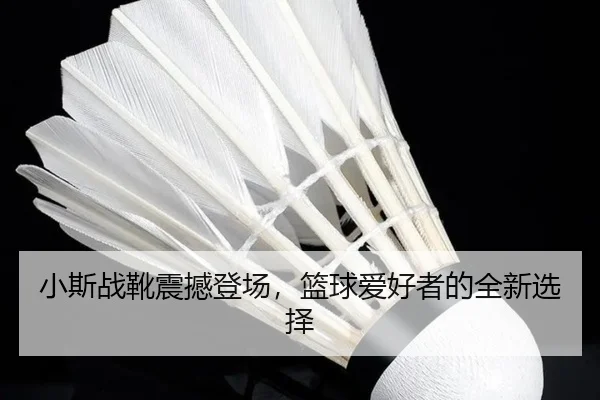 小斯战靴震撼登场，篮球爱好者的全新选择