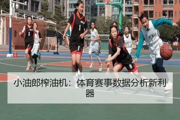 小油郎榨油机：体育赛事数据分析新利器
