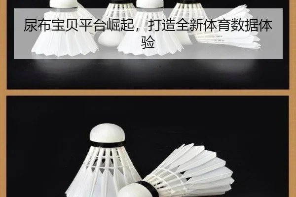 尿布宝贝平台崛起，打造全新体育数据体验