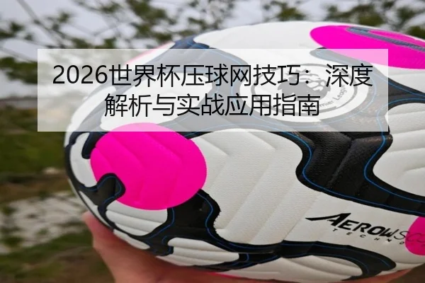 2026世界杯压球网技巧：深度解析与实战应用指南